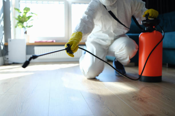Trusted Sewage Cleanup service in Edgerton, WI - Four Month Blood Cleanse